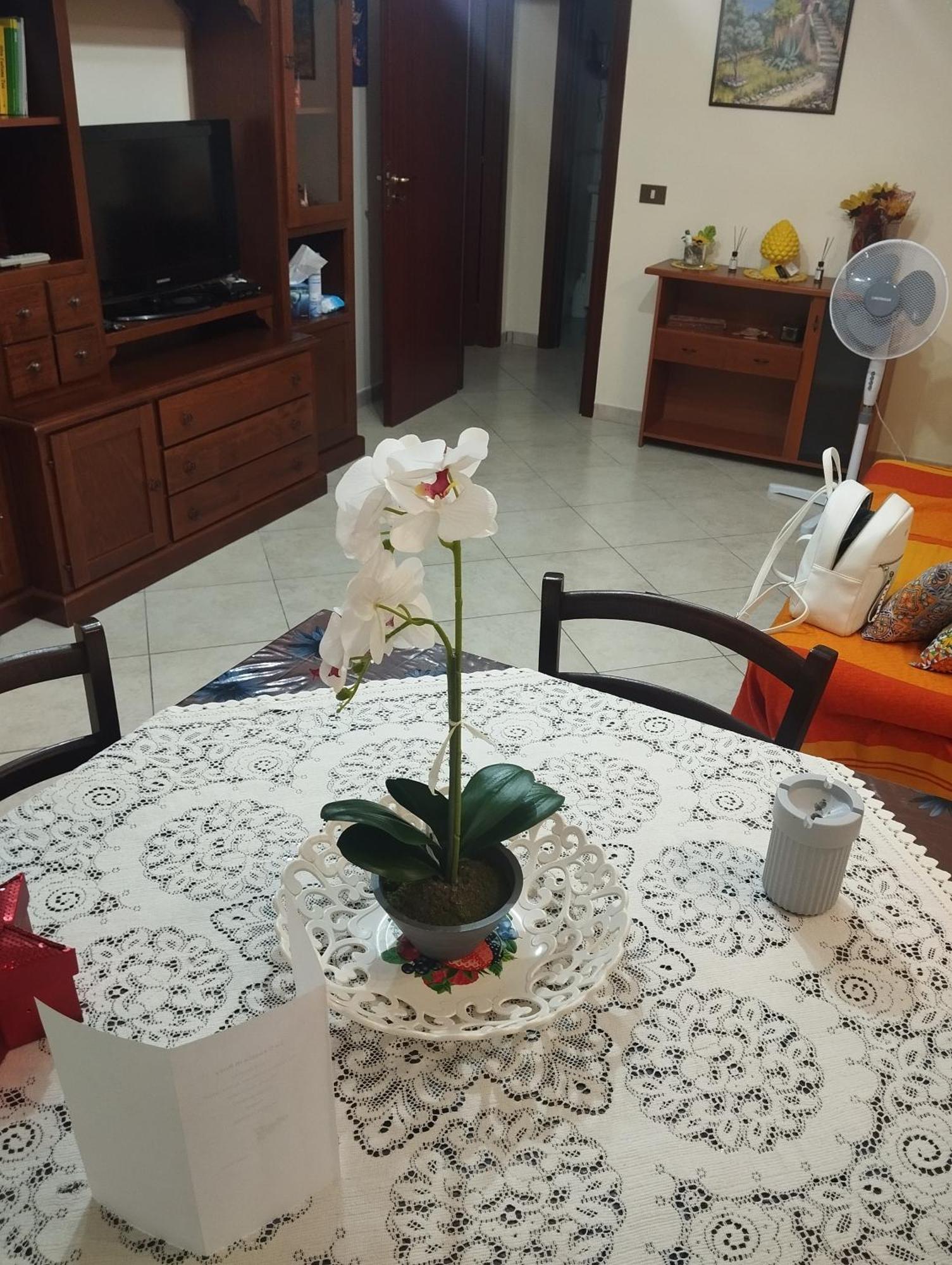 La Casetta Di Rosy - Palermo — Photos 1